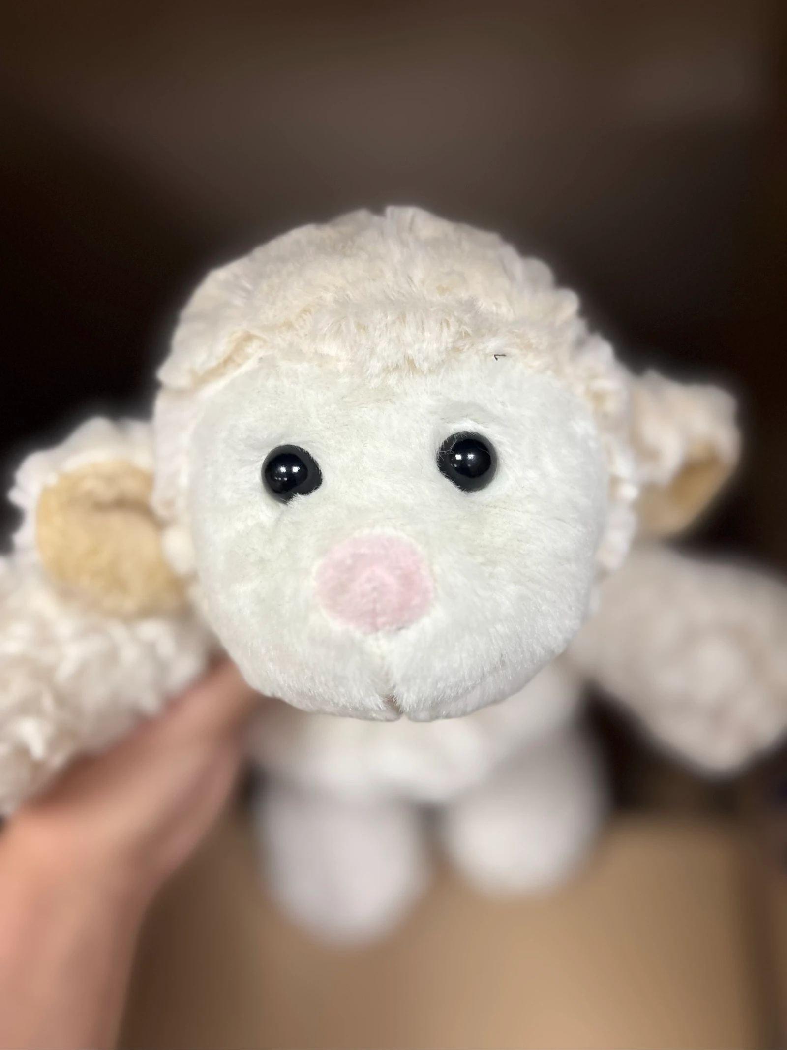 Doudou – photo 2